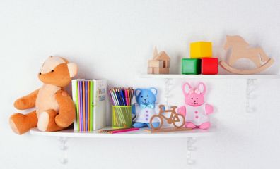 New Product for Kid Toy Organizer