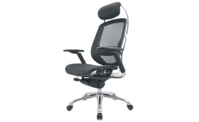 Mesh Executive Chair, Chair with Headrest, Adjustable Office Chair