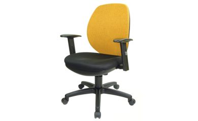 Fabric Rolling Chair, Ergonomic Chair, Lift Chair